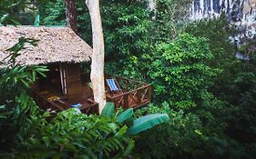 Our Jungle House